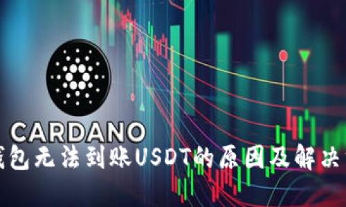 TP钱包无法到账USDT的原因及解决方案