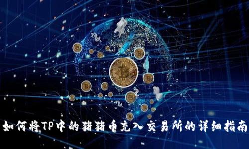 如何将TP中的猪猪币充入交易所的详细指南
